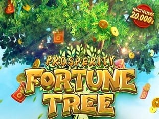 Prosperity Fortune Tree icon